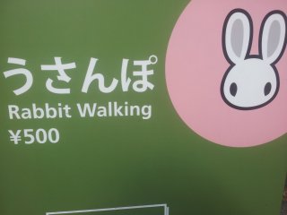 Rabbit Walking! A fool and his money....