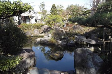 The pretty pond in the garden