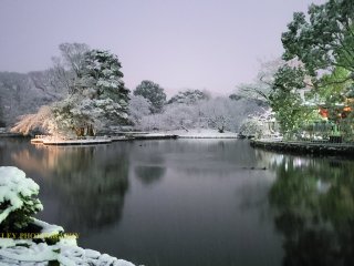 View of one of the Genpei ponds.