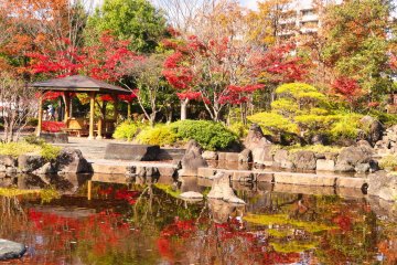 Koriyama City Parks