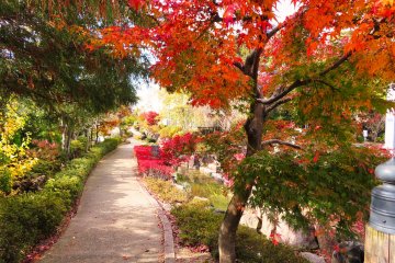 Colorful pathway at Kaiseizan Daijingu Shrine