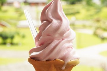 Мороженое в парке роз