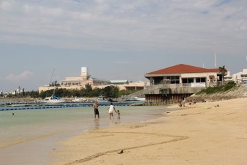<p>The beach becomes very crowded in the summertime</p>