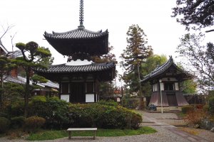 Discovering the Charms of Ikaruga, Nara