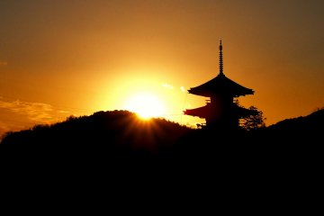 Discovering the Charms of Ikaruga, Nara