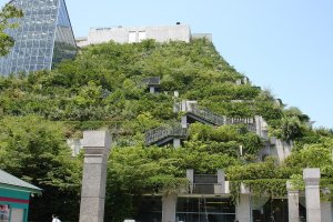 Acros Fukuoka combines business desires for a profitable use of space, and the public's desire for urban green space