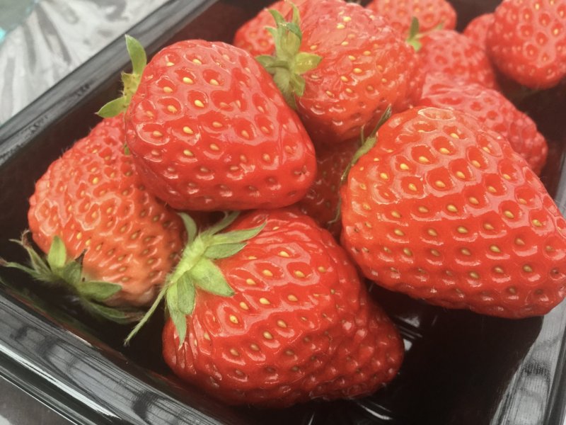 Enjoy freshly picked strawberries right there.
