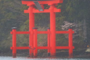 Red gate of peace (heiwa no torii Hakone Shrine)