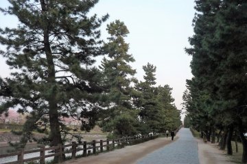Soka Matsubara promenade