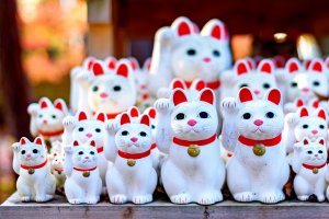 Destinations for Cat Lovers in Japan