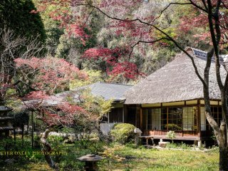 The Shoin (priests' quarters). 