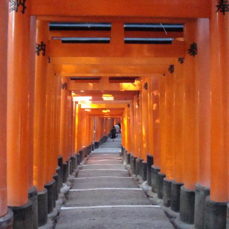 Getting to Know: Fushimi Inari Taisha