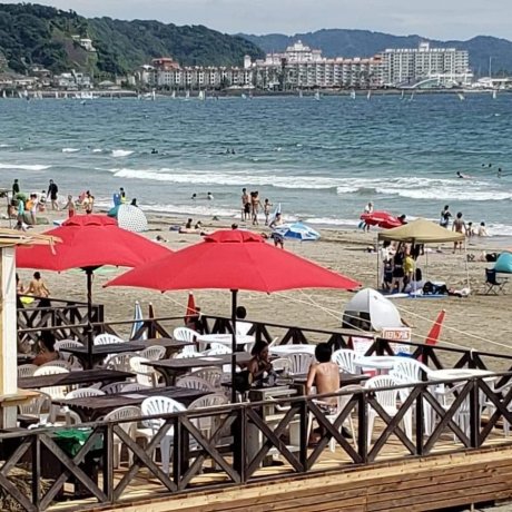 Kamakura Camera - Summer by the Sea