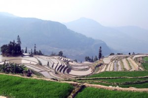 Yunnan is famous for stunning natural landscapes like terraced rice fields