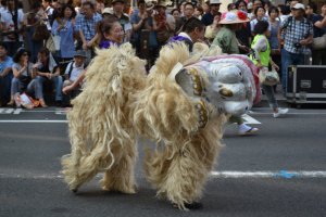 Shinjuku Eisa Festival
