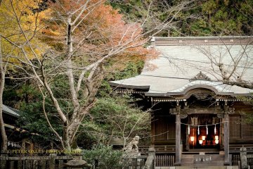 The shrine in autumn