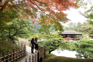 10 Autumn Leaf Spots Across Shikoku