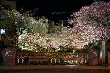 Itokawa Promenade Sakura Festival