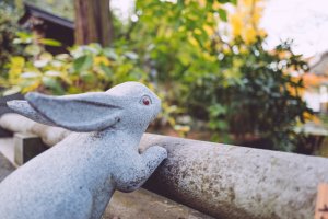 Rabbit Shrines & Temples in Japan