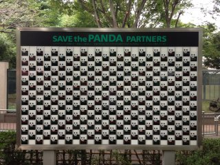 Save the panda