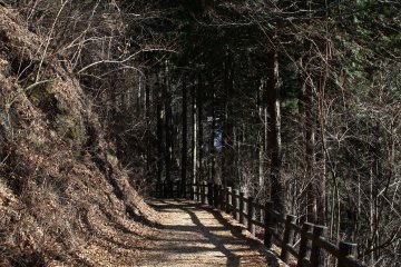 Forest therapy road (森林セラピーロード)