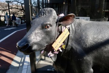 Mark Matsuoka Grill’s cow statue is also decorated for the season!
