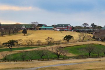 View of Takachiho Farm from sidewalk