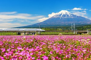 Shinkansen beside Mount Fuji in spring