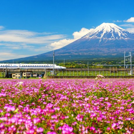 JR Pass: Guide to Japan's Best Rail Pass