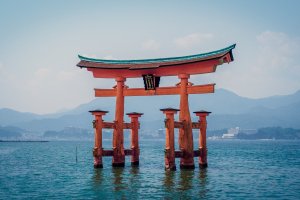 5 Floating Torii Destinations in Japan
