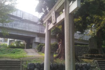 Shinkansen tracks right next to the shrine