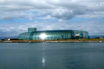 View of the aquarium from 'La La Mew'