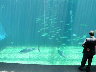 Located in Onahama Port, the aquarium was designed to 'emphasize the vastness of the ocean'.