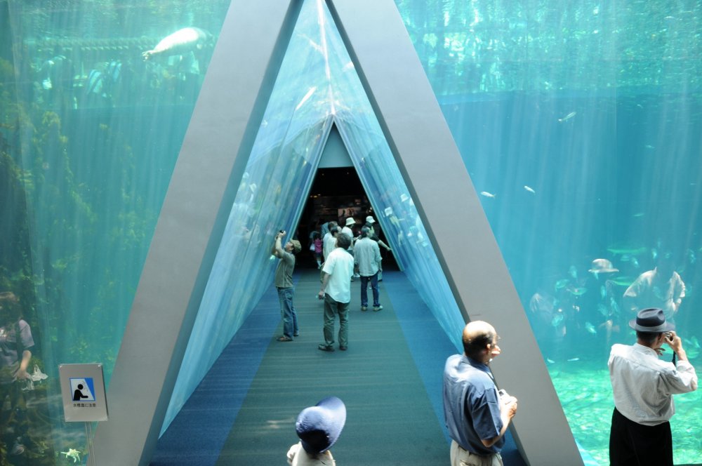 Đường hầm hình tam giác tách hai bể khổng lồ chứa nước mà có nhiệt độ khác nhau (hai dòng biển).