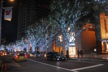Keyaki-zaka Area with its snowy light trees