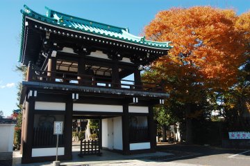 The gate of Kenpukuji