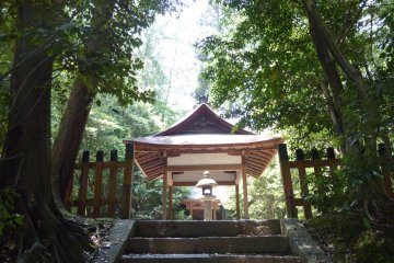 <p>A simple&nbsp;altar surrounded by trees</p>