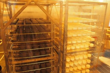 <p>บนชั้นหนึ่ง คุณสามารถชมสายการผลิตเนยแข็งกา-มอง-แบร์ (Camembert Cheese)</p>
