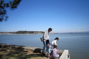大勢の家族連れがピクニックに訪れる。片山津温泉街も最近は足湯を設けたり遊歩道を整備したりして、にぎわいへのテコ入れをしている