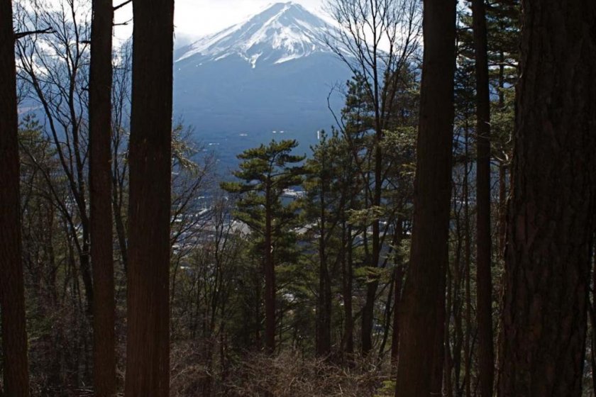 Mt Fuji from Kawaguchi-ko