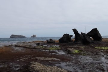 <p>The coast road takes you past these striking rocks</p>