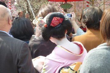 <p>A special guest hides among the crowd of visitors</p>