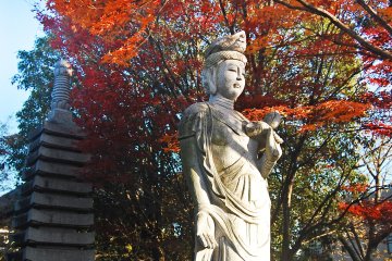 <p>Fukuju-in also has several statues. This one is a beautiful Goddess.</p>