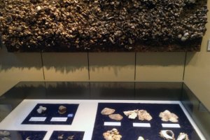 A shell mound was the ancient world&#39;s garbage dump. In the mass of shells, we can sometimes find animal bones or pieces of pottery.&nbsp;