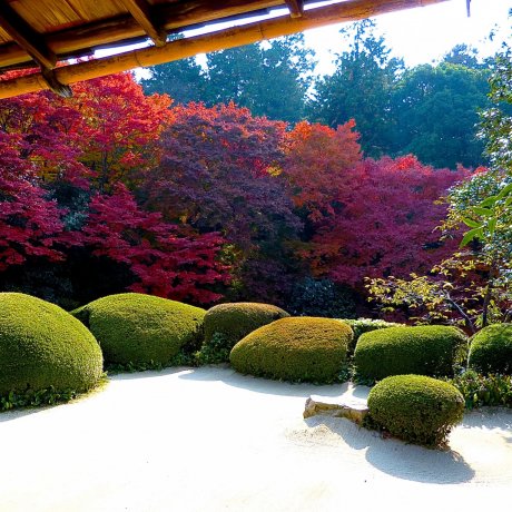 Kyoto Shisen-do Villa