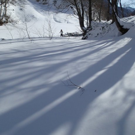 Trượt giày trên tuyết ở công viên Quốc gia Joestu