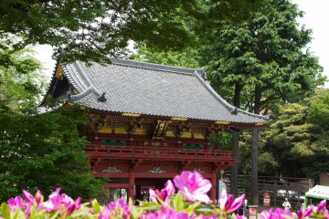 <p>The large gate before the main shrine building right after crossing the pond / stream. Although the pink azaleas in the foreground&nbsp;don&#39;t really match the colors&nbsp;of the gate, I think the view has&nbsp;got something.</p>
