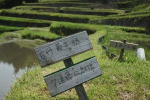 Signs marking rice field property