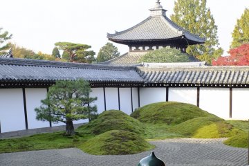 <p>This garden is quite traditional, but not too simple</p>