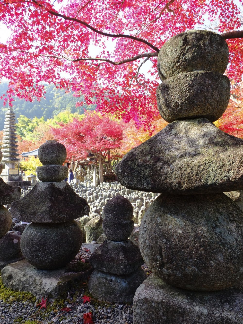 Lovely Adashino Nenbutsu Ji Temple Arashiyama Kyoto Japan Travel